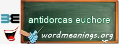 WordMeaning blackboard for antidorcas euchore